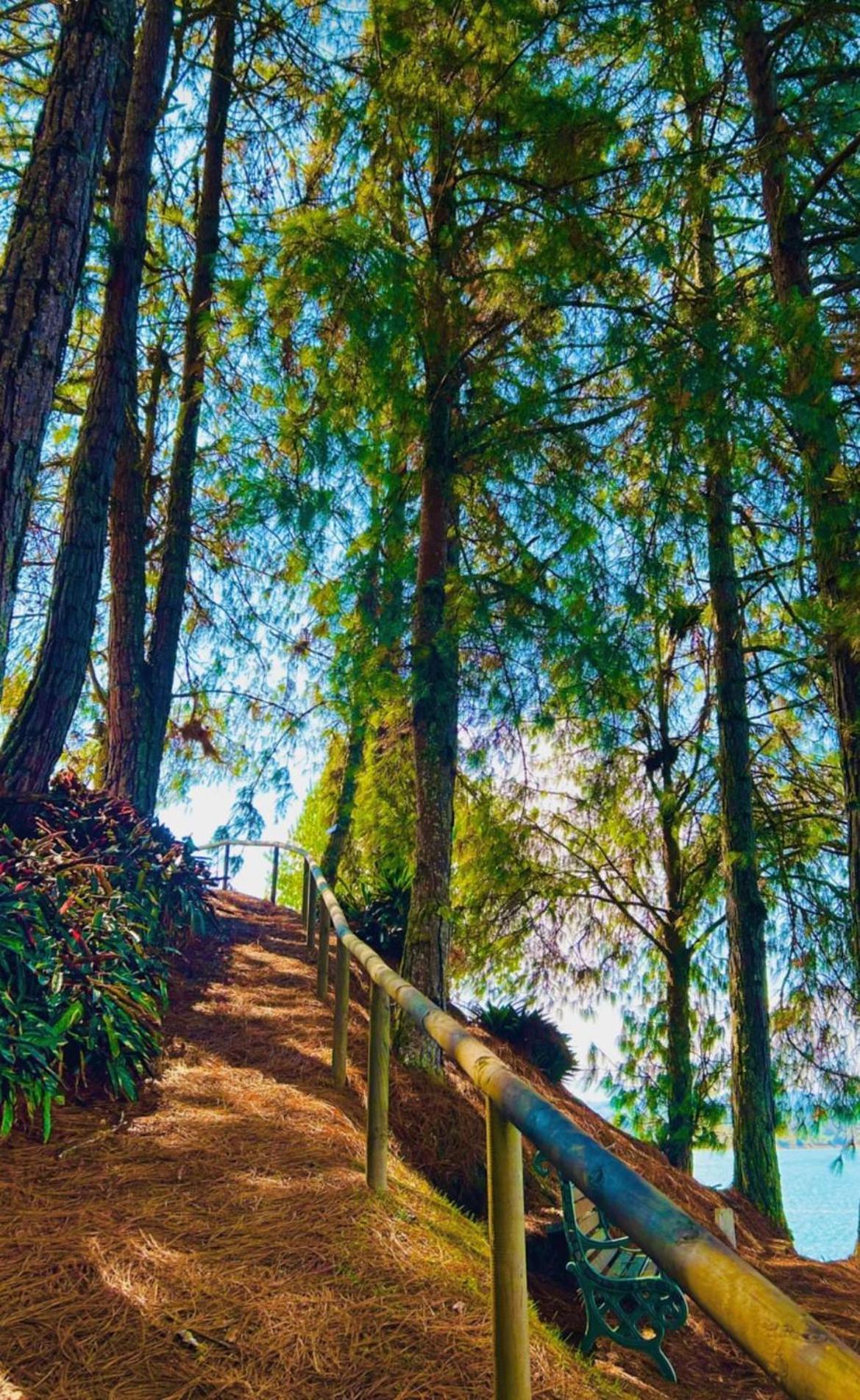 Guatapé El Trebolゲストハウス エクステリア 写真